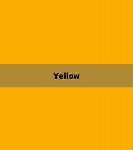 Fashion Lite Yellow Sportify Custom Apparel Sudbury Ontario